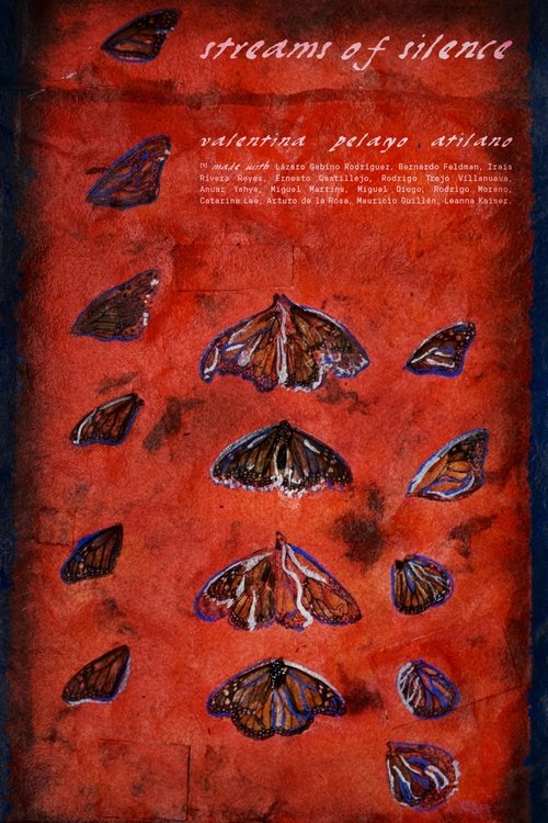 Streams of Silence poster