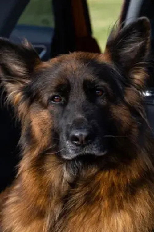 Вера фон Марс Итали profile photo