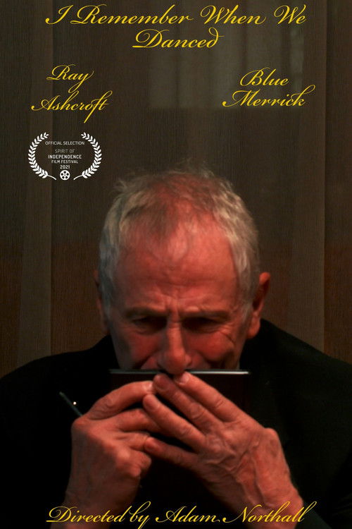 I Remember When We Danced poster