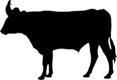 Beef and Sage Productions logo