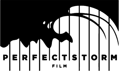 Perfect Storm Film logo