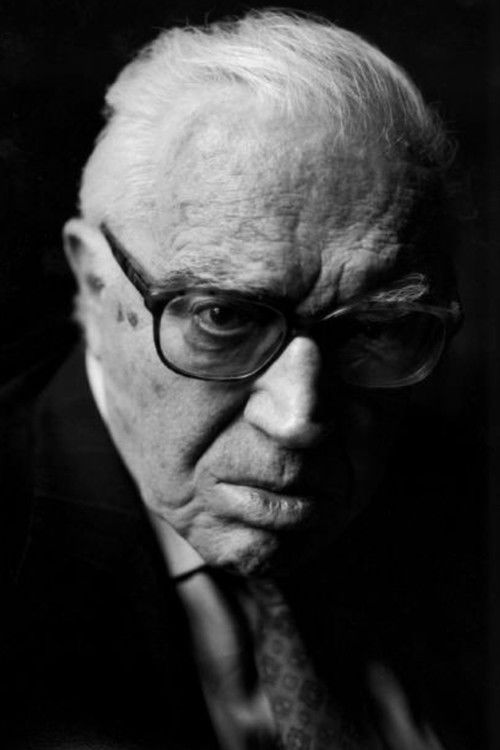 Giancarlo Vigorelli as Judge