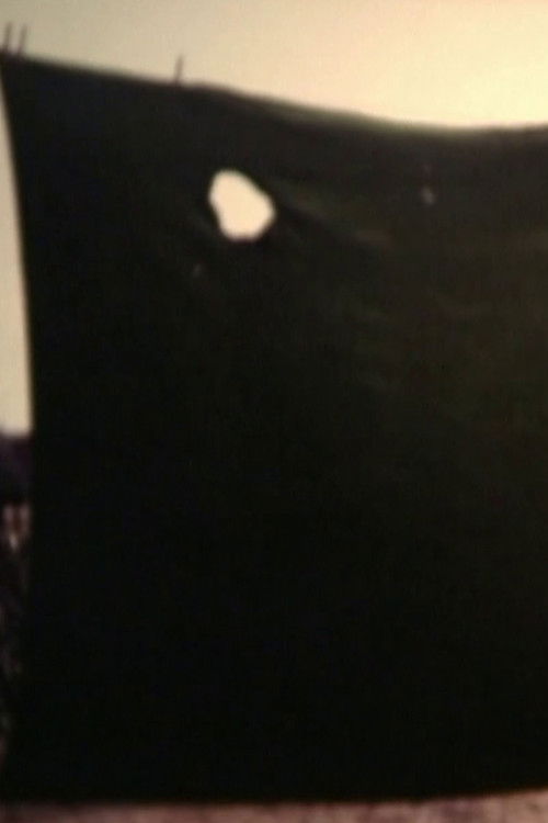 The Blanket of Life poster