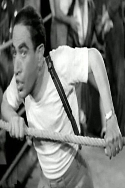 Ali Tabangat as سكرتارية فصيح