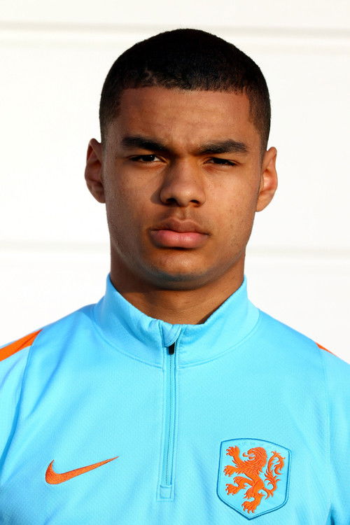 Cody Gakpo profile photo