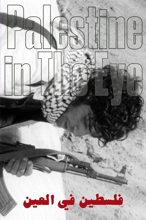 Palestine in the Eye poster