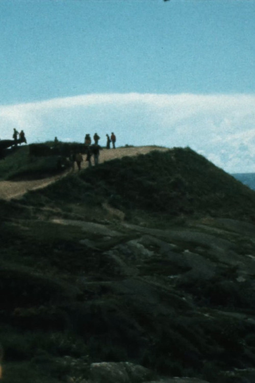 Antti Peippo – The Tourist