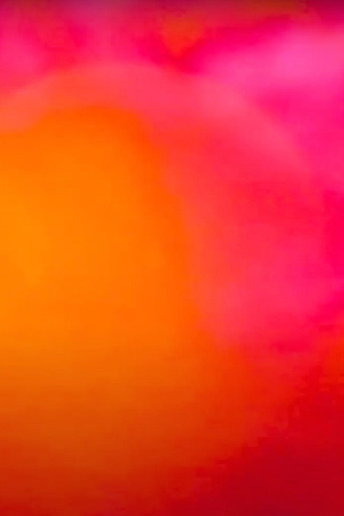 Disgusting girls will be skeletons