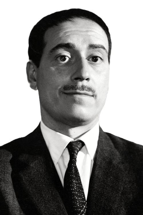 José Luis López Vázquez as Rodopiano Soler