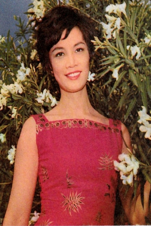 Fung Chan as Dong-Mei's big sister