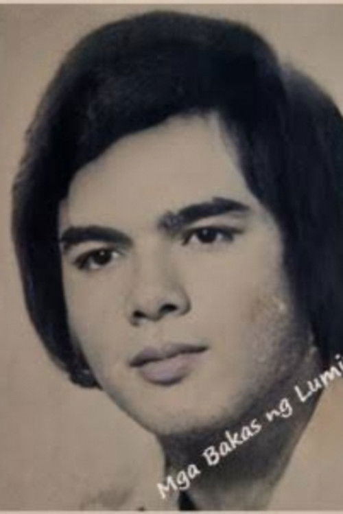 Marlon Ramirez as Nanding Karyas