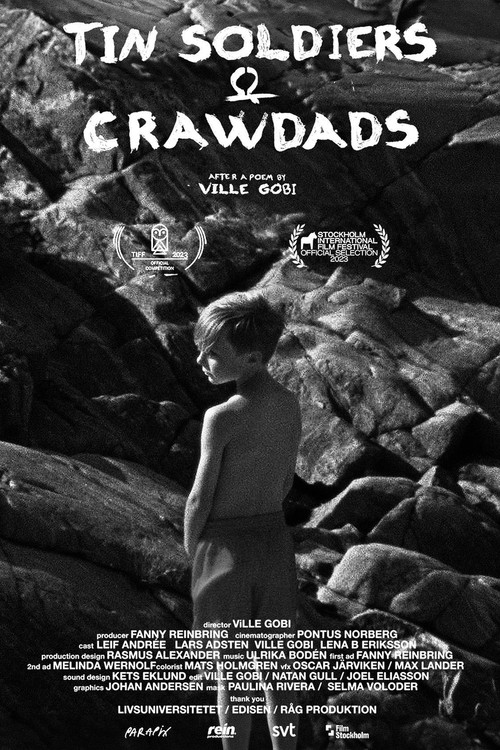 Tin Soldiers & Crawdads poster