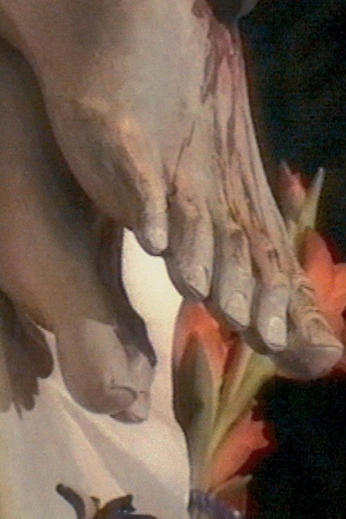 The Silence Is Baroque