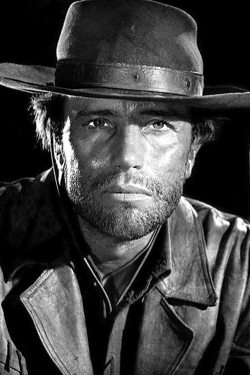 Anthony Steffen as Django