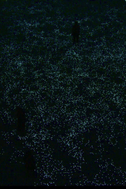 the planck universe [micro]