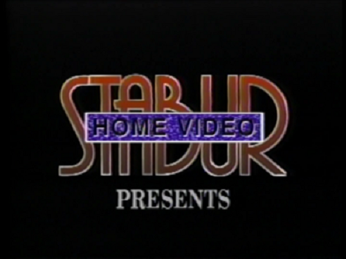 Stabur Home Video logo