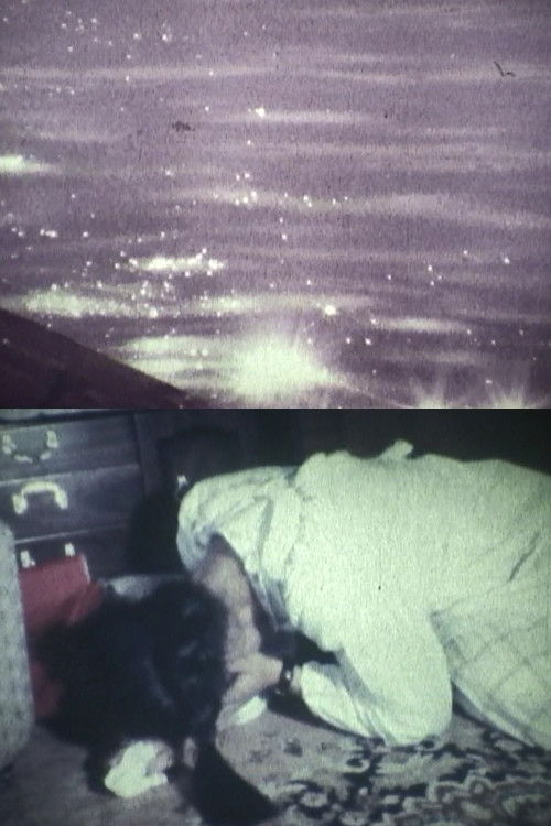 ALONE IN THE WIND poster