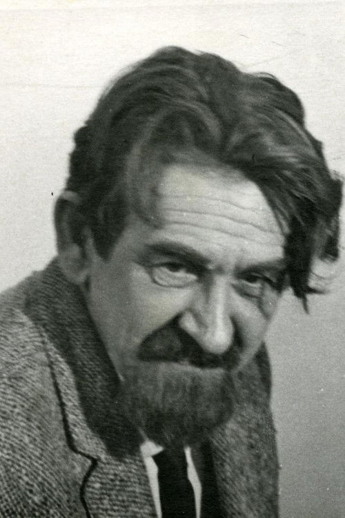 Hardi Tiidus as President of the Court