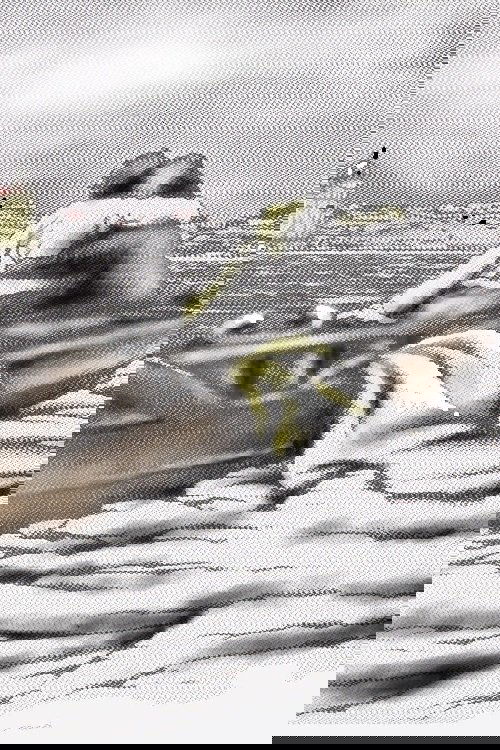 In the Neighbourhood of the City