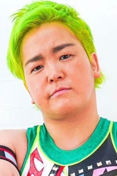 Ayane Mizumura as Ryo Mizunami