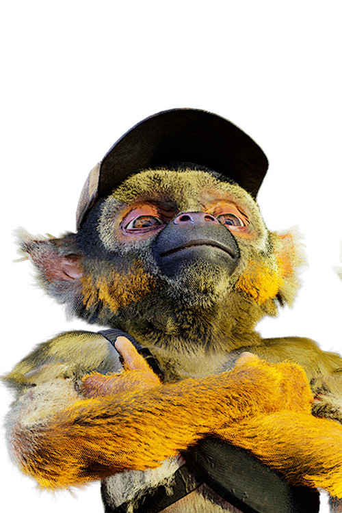 Ash as le saïmiri 1