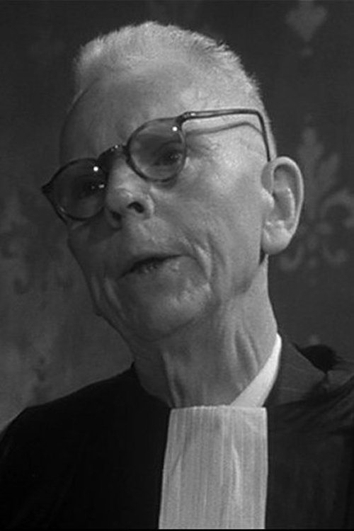 Roger Legris as Le photographe