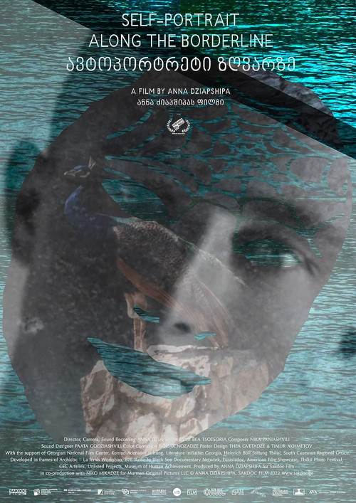 Self-Portrait Along the Borderline poster