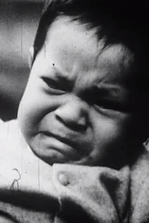 The Witness or Timid Expectations