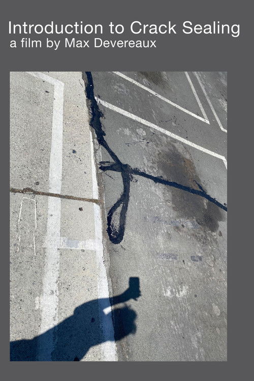 Introduction to Crack Sealing