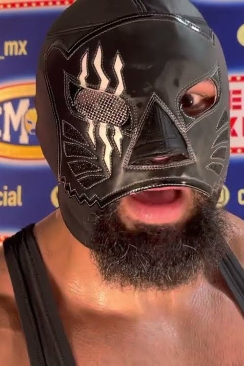 Dark Panther as Dark Panther