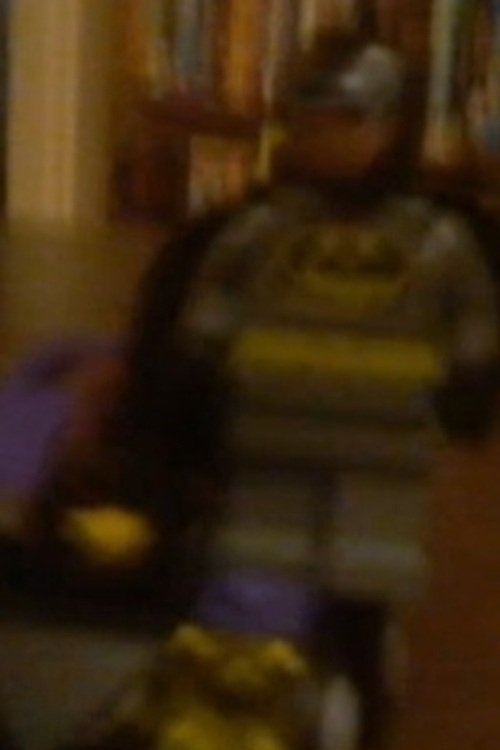 Lego batman saves the day