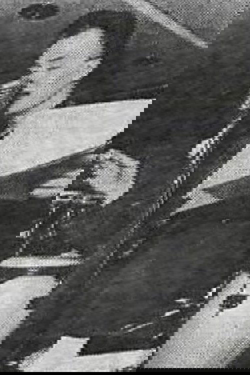 The Search for Bogomil Font