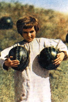 Oleksandr Sergienko profile photo