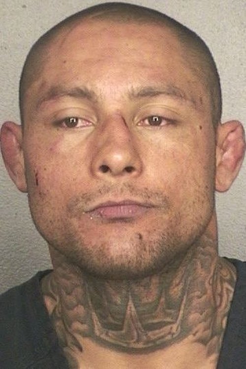 Thiago Silva as Self