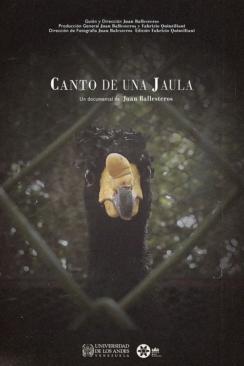 Canto de una jaula