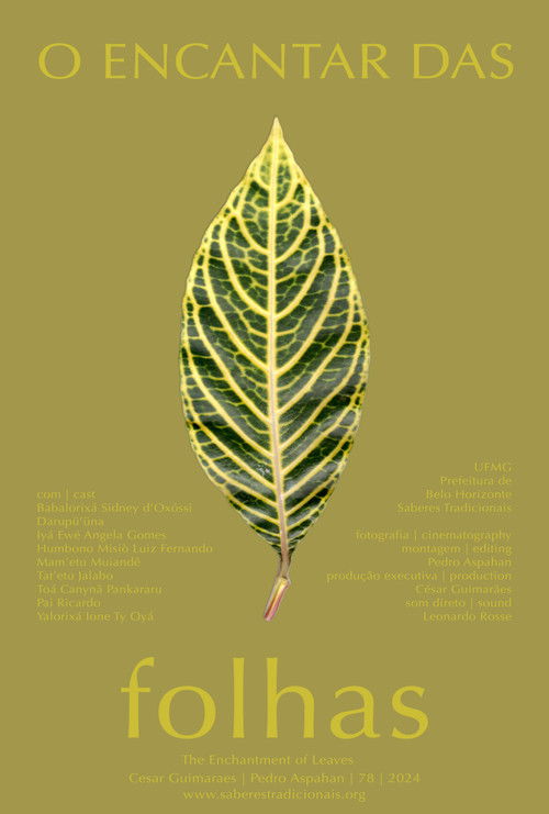O Encantar das Folhas