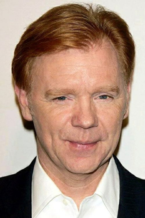 David Caruso as Horatio Caine