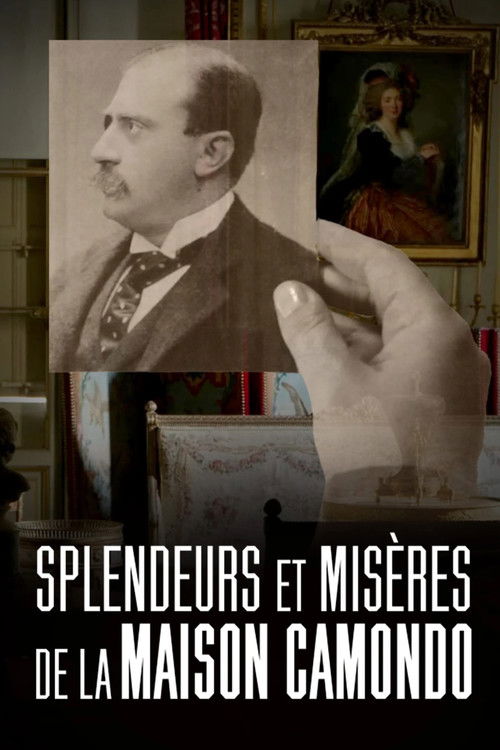 Splendeurs et misères de la maison Camondo poster