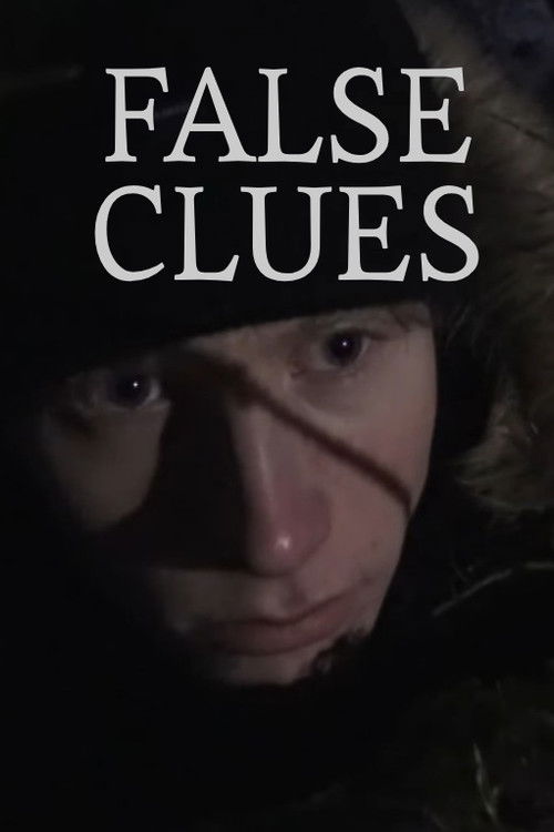 False Clues poster