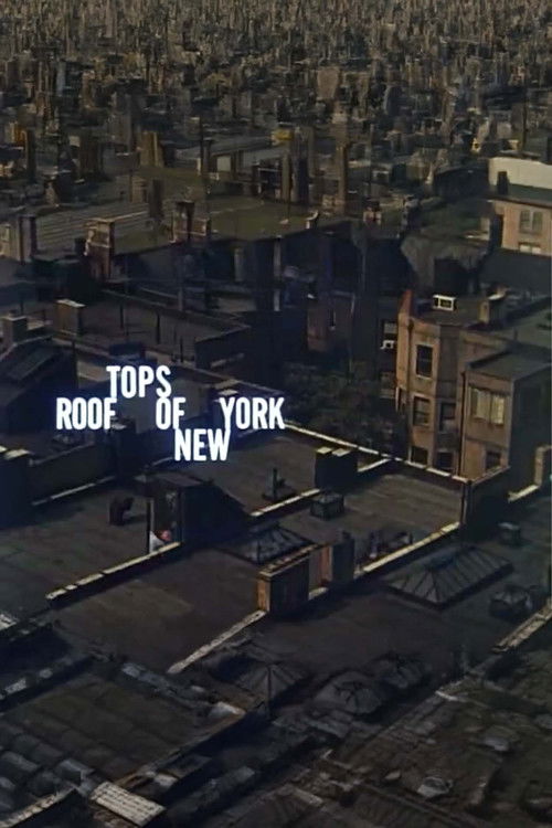 Rooftops of New York