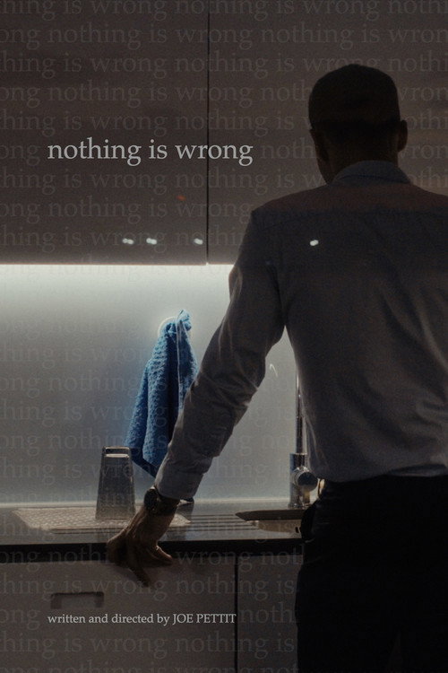 Nothing is Wrong poster