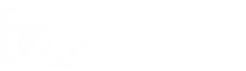 Identic Films logo