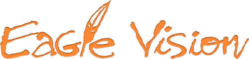 Eagle Vision logo