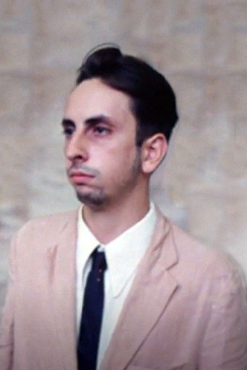 João Braga as Noel Rosa