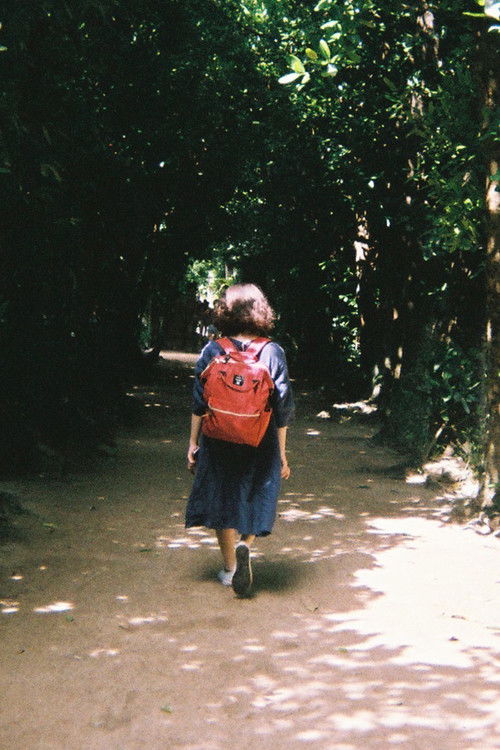 Akino Fukuji as Student B (voice)