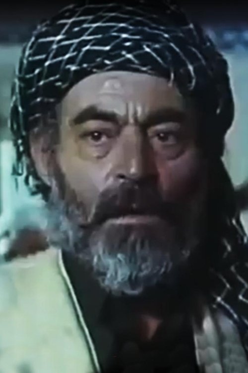 Nariman Shirifard as Ali Bibi-Hassan