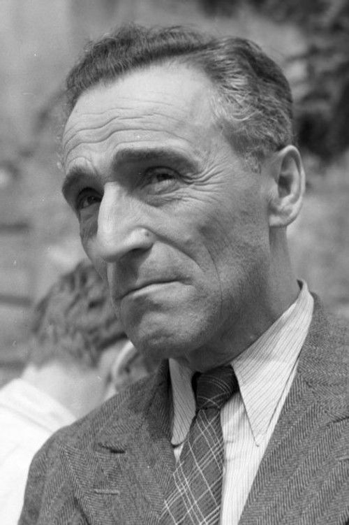 Zbigniew Koczanowicz as Police Commissioner