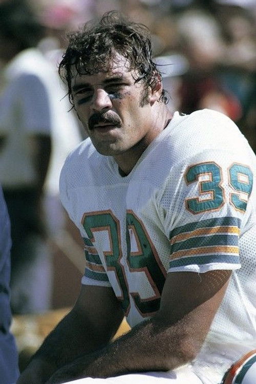Larry Csonka as Self