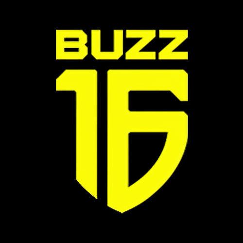 Buzz 16 logo