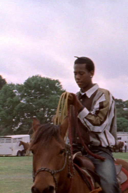 Ten Five in the Grass poster